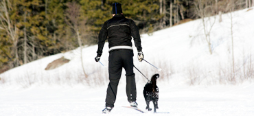 BAGGEN® Hundprodukter