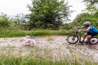 Ri.Do 2.0 - Dragfäste cykel