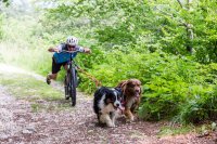 Ri.Do 2.0 - Dragfäste cykel