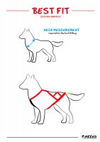 Sled dog harness
