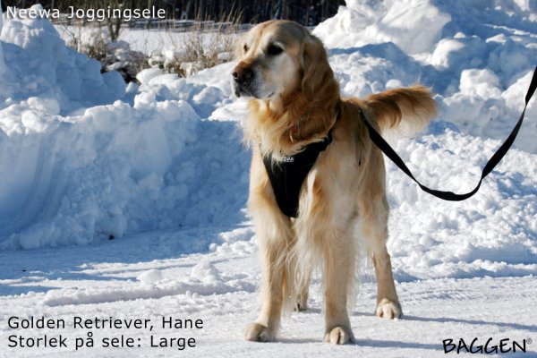 Neewa Running Harness
