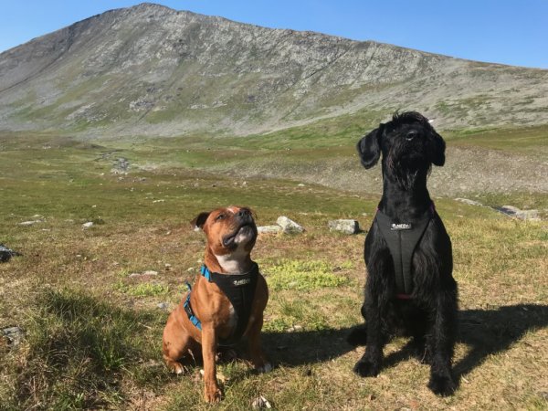 Telefontider v.30-31