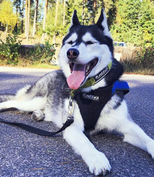 Telefontider i påsk!