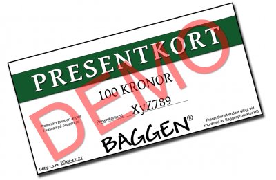 Presentkort baggen.se (Digitalt)